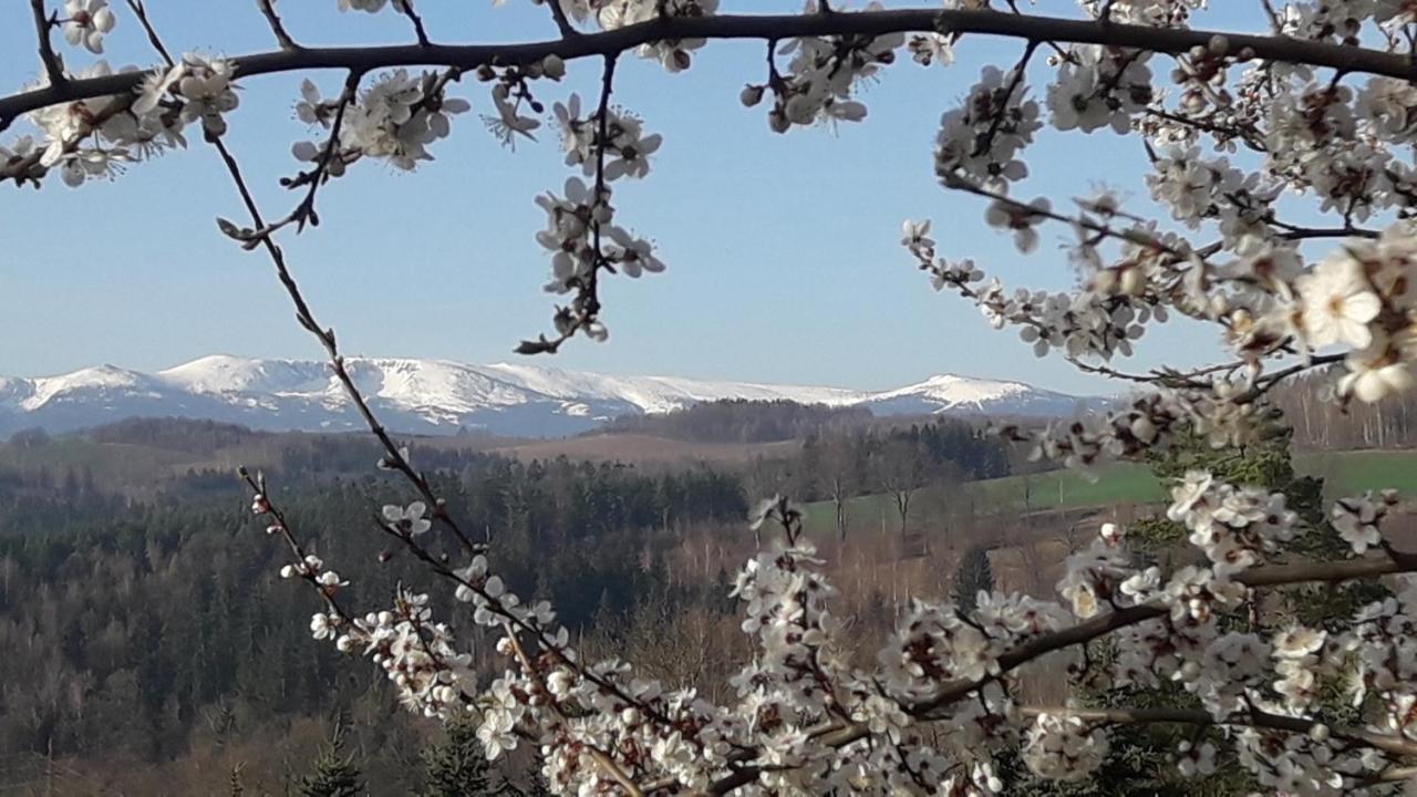 Kowalowe Skaly Spa&More Jelenia Góra Екстериор снимка